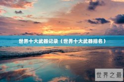 世界十大武器记录（世界十大武器排名）