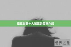 坦克世界十大装置的简单介绍