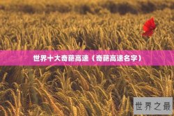世界十大奇葩高速（奇葩高速名字）