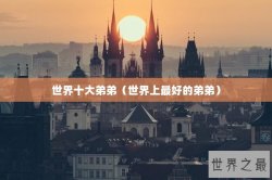 世界十大弟弟（世界上最好的弟弟）