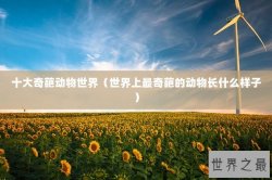 十大奇葩动物世界（世界上最奇葩的动物长什么样子）