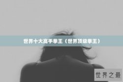 世界十大高手拳王（世界顶级拳王）