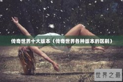传奇世界十大版本（传奇世界各种版本的区别）