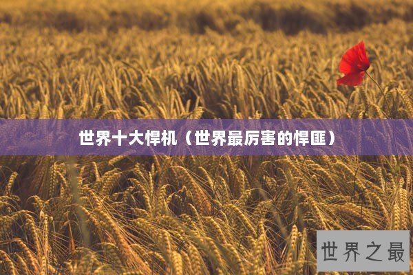 世界十大悍机（世界最厉害的悍匪）