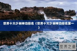 世界十大少林神功排名（世界十大少林神功排名第一）