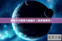 世界十大怪事大桥图片（世界怪事件）