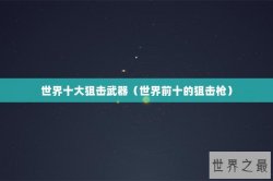 世界十大狙击武器（世界前十的狙击枪）