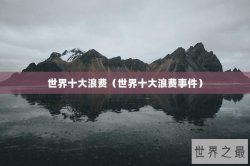 世界十大浪费（世界十大浪费事件）