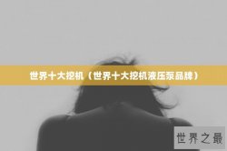 世界十大挖机（世界十大挖机液压泵品牌）