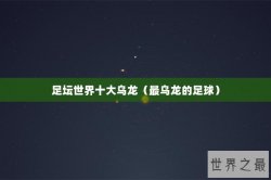 足坛世界十大乌龙（最乌龙的足球）