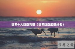 世界十大防空利器（世界防空武器排名）