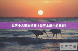 世界十大攀岩机器（世界上最牛的攀岩）