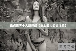 盘点世界十大巡洋舰（史上最大的巡洋舰）