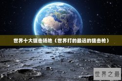 世界十大狙击场地（世界打的最远的狙击枪）