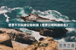 世界十大科技公司利润（世界公司利润排名）