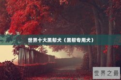世界十大黑帮犬（黑帮专用犬）