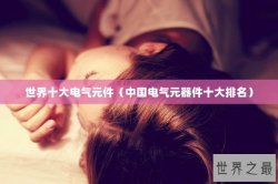 世界十大电气元件（中国电气元器件十大排名）
