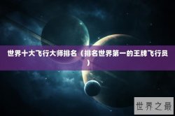 世界十大飞行大师排名（排名世界第一的王牌飞行员）