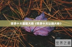 世界十大基建大桥（世界十大公路大桥）