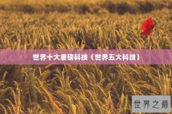 世界十大重磅科技（世界五大科技）
