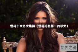 世界十大恶犬集锦（世界排名第一的恶犬）