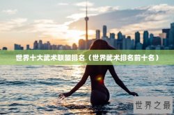 世界十大武术联盟排名（世界武术排名前十名）