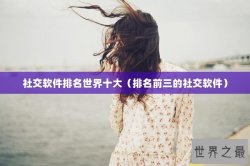 社交软件排名世界十大（排名前三的社交软件）
