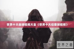 世界十大击球视频大全（世界十大任意球视频）