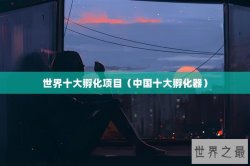 世界十大孵化项目（中国十大孵化器）