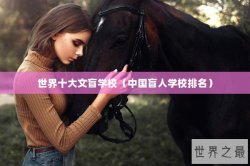 世界十大文盲学校（中国盲人学校排名）