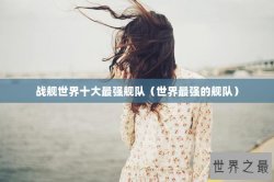 战舰世界十大最强舰队（世界最强的舰队）