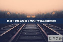 世界十大单兵军粮（世界十大单兵军粮品牌）