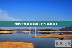 世界十大降暑利器（什么最降暑）
