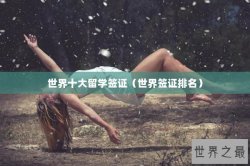 世界十大留学签证（世界签证排名）