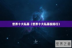 世界十大私募（世界十大私募股排行）