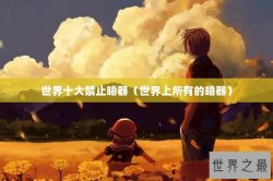 世界十大禁止暗器（世界上所有的暗器）
