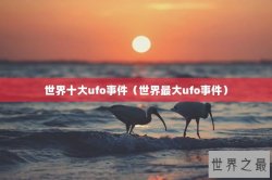 世界十大ufo事件（世界最大ufo事件）