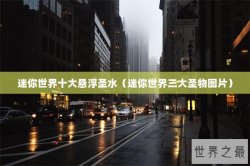 迷你世界十大悬浮圣水（迷你世界三大圣物图片）