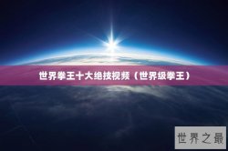 世界拳王十大绝技视频（世界级拳王）