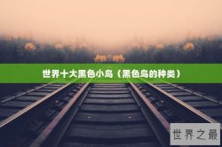 世界十大黑色小鸟（黑色鸟的种类）