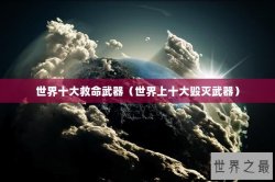 世界十大救命武器（世界上十大毁灭武器）