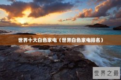 世界十大白色家电（世界白色家电排名）