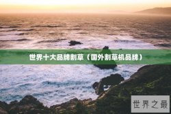 世界十大品牌割草（国外割草机品牌）