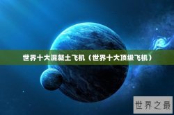 世界十大混凝土飞机（世界十大顶级飞机）