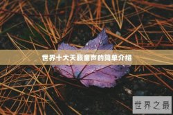世界十大天籁童声的简单介绍
