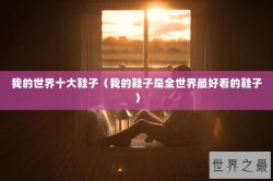 我的世界十大鞋子（我的鞋子是全世界最好看的鞋子）