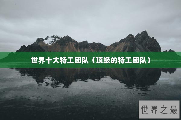 世界十大特工团队（顶级的特工团队）