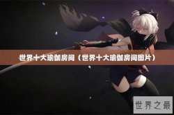 世界十大瑜伽房间（世界十大瑜伽房间图片）