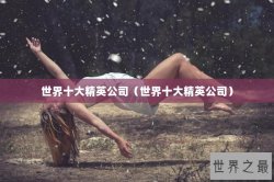 世界十大精英公司（世界十大精英公司）