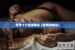 世界十大禁用网站（禁用的网站）